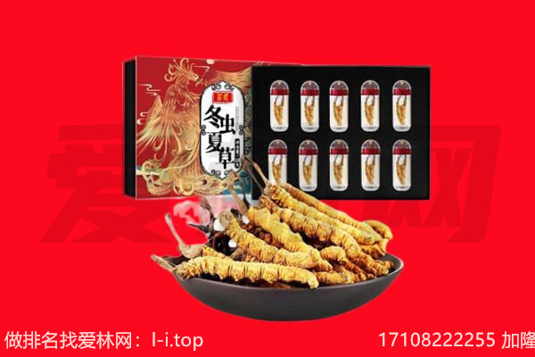 大连市庄河回收虫草.jpg